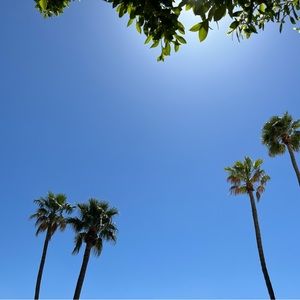 Meet your Posher, Kiki